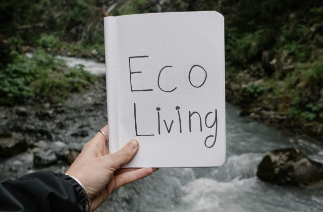 Person enjoying a peaceful sustainable home setting