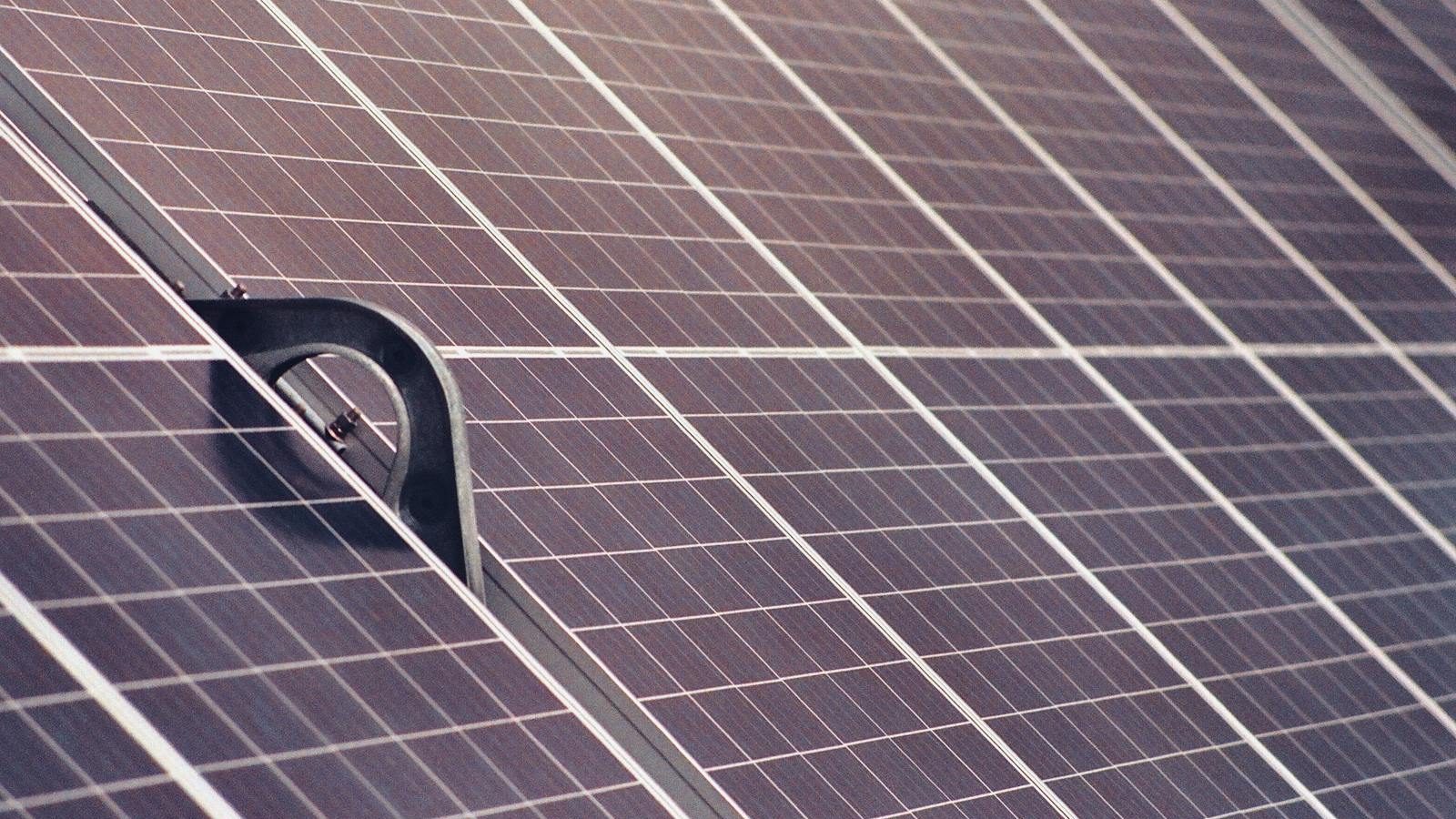 Homeowner reviewing solar paperwork