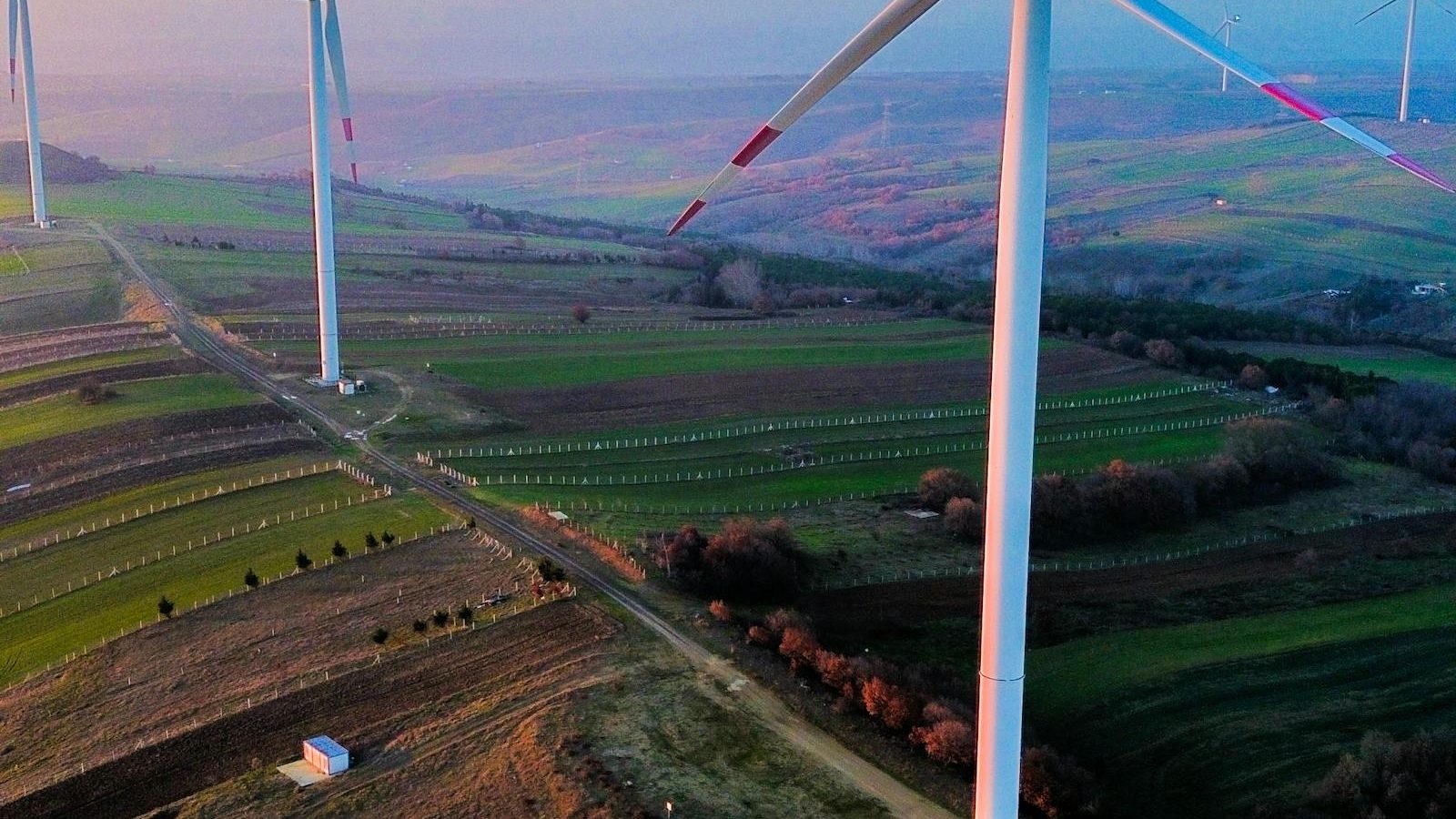 Person studying renewable energy plans