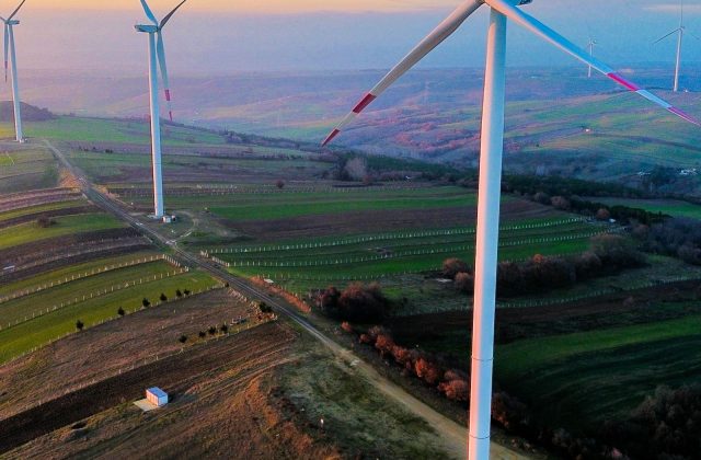 Person studying renewable energy plans