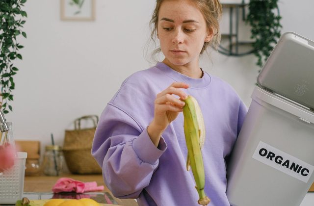 Reusable household items on a counter