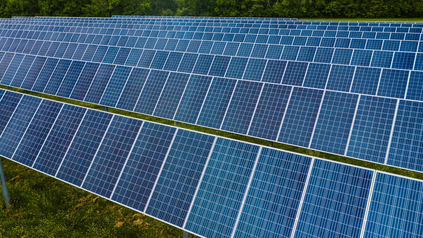 Close-up of monocrystalline solar cells