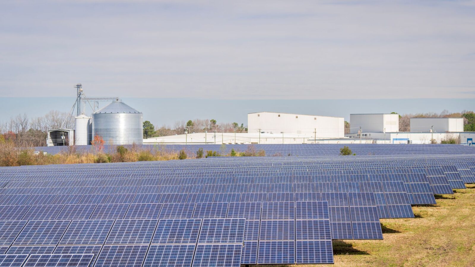 Rows of ground-mounted solar panels in a rural community solar farm field under blue sky