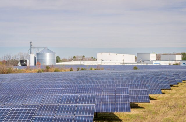 Rows of ground-mounted solar panels in a rural community solar farm field under blue sky